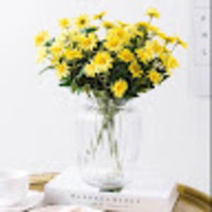 Meet your Posher, Winnie